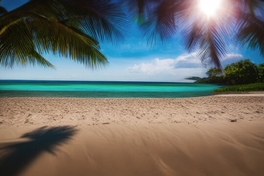 tree on the beach in the maldives diffushi island maafushi male