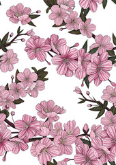 Floral seamless pattern. Sakura. Background of cherry blossom branches. Hand-drawn