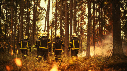 Professional Firefighters Crew Walking in Forest, Controlling a Wildland Fire Before it Becomes a...