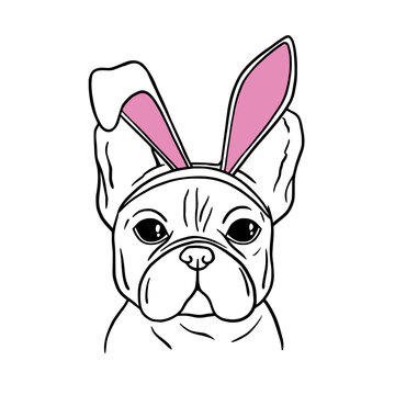Dog with rabbit ears. Easter Dog. French bulldog black and white hand drawn portrait. Happy Easter card with dog wearing bunny ears. Good for posters, t shirts, postcards.