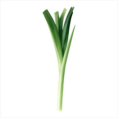Spring Onion Isolated Detailed Hand Drawn Painting Illustration