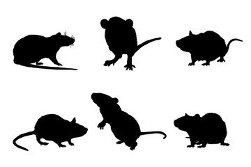 Set of rat silhouettes vector design