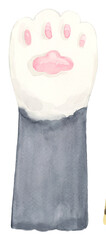 Gray cat paw with white sock watercolor isolated background clip art 