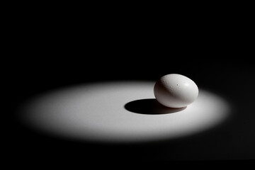 Monochromatic image of a single egg