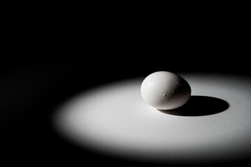 Monochromatic image of a single egg
