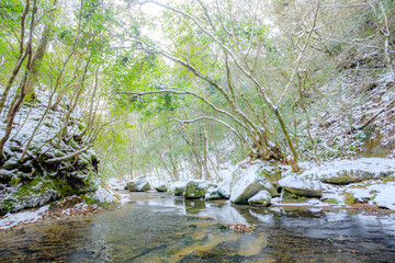 冬の岳切渓谷　大分県宇佐市　Takkiri Valley in winter.　 Oita Prefecture, Usa city.