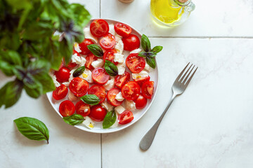 Portion of caprese salad under the basil plant, top view