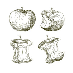 Set of hand drawn apples.