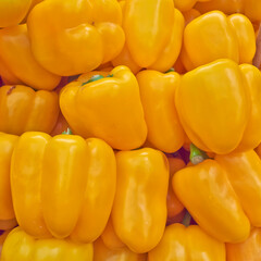 Bright yellow organic bell peppers for sale top view close up. A natural, colorful background.