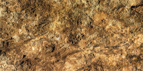 Natural Stone Surface Textured Background
