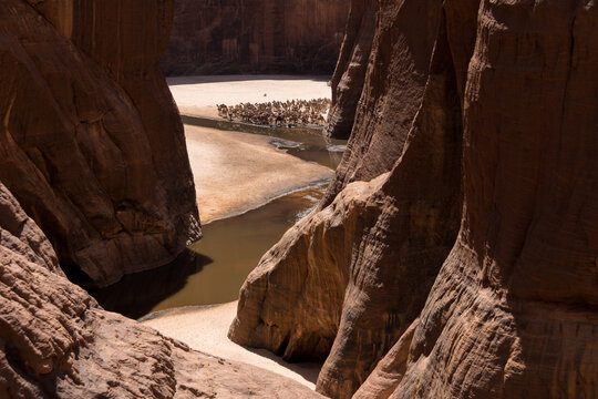 Guelta de Archei, Ennedi