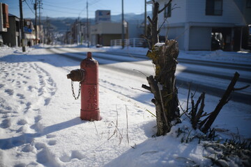 消火栓と雪の朝