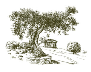 The Temple Of Concordia In The Valley Of The Temples At Agrigento Sicily. Olive Tree. - obrazy, fototapety, plakaty
