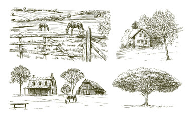 Grazing horses, rural landscape, farm, beautiful old tree. - 569157971