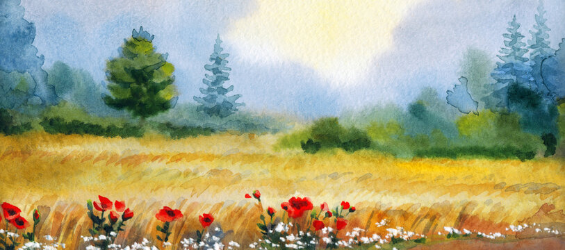 Watercolor landscape. Trees near the wheat field