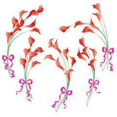 Collection of beautiful calla lily materials,