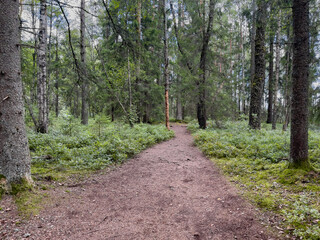 Obraz premium Wanderweg im Store Mosse Nationalpark in Småland, Schweden