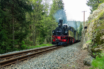 Dampfzug der Pressnitztalbahn im Erzgebirge in Deutschland
