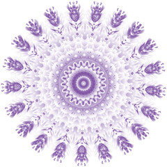 Beautiful round pattern. Vector file for designs.