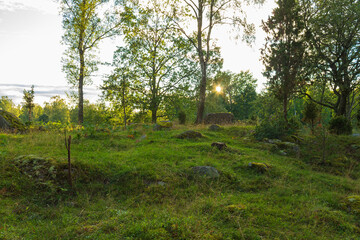 Obraz premium Naturreservat Krokshult in Småland, Schweden 