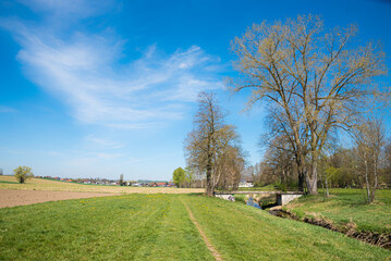 hiking path near Schwindegg village, rural landscape in spring upper bavaria