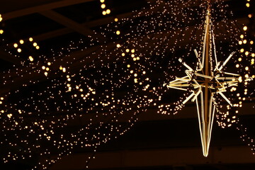 冬の街路樹イルミネーション（玉ボケ）