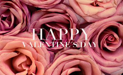 pink rose and petals, text: happy Valentine’s day 