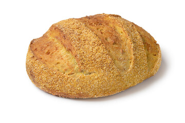 Fresh baked corn bread loaf isolated on white background close up