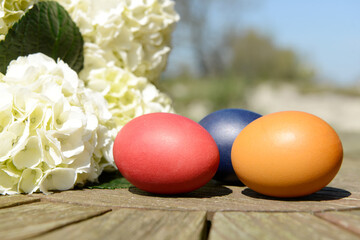 Easter eggs and flower  lying on table in the garden - 569172755