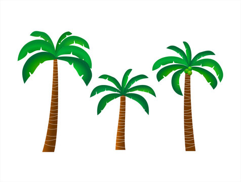 Vector design of coconut trees on white background