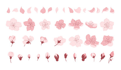 Sakura cherry blossom. Japanese cherry petals, falling spring flowers and sakura season vector icons set - obrazy, fototapety, plakaty