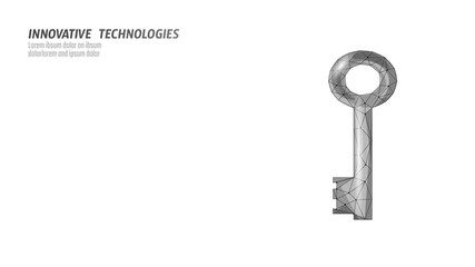 Cyber safety key on data mass. Internet security lock information privacy low poly polygonal future innovation technology network business concept blue vector illustration