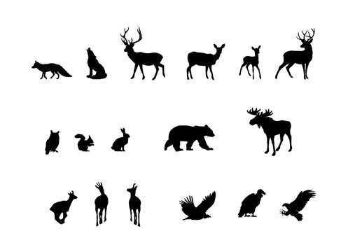 Silhouettes of woodland animals isolated on white background. Deer, doe, favn, moose, bear, fox, hare, owl, bird of prey, chamois, wolf, squirrel.