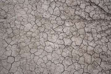 Dried and cracked ground background