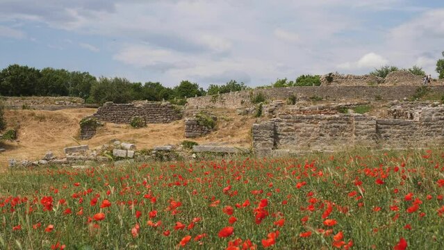 Roman City Ruins and Poppy Flower Meadow, Solin, Croatia