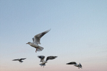 concept of the postcard with seagulls in flight