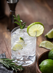 Gin and tonic cocktail with lime. rosemary and ice - 569187524