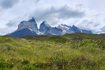 Fototapeta premium mountain view of torres del paine in chile with river