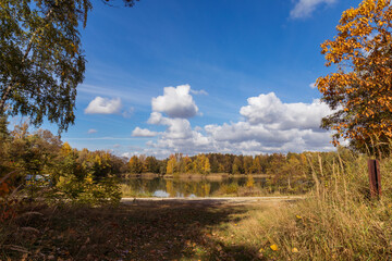 A pond in the forest, an autumn landscape, a calm water surface and a forest in autumn.