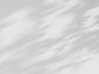 Obraz premium white background of organic shadow over white textured wall