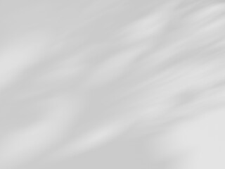 Obraz premium white background of organic shadow over white textured wall