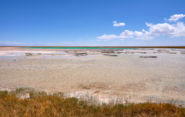 cejar lagoon in atacama desert, chile