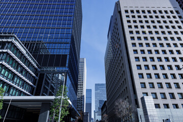 太陽の光が綺麗な東京のビル群