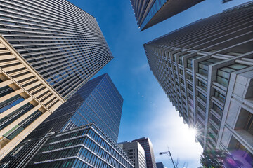 太陽の光が綺麗な東京のビル群