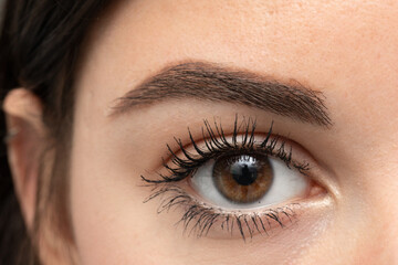 Obraz premium Well-Groomed Brown Eye of a Woman
