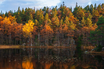 Fall colors at still lake