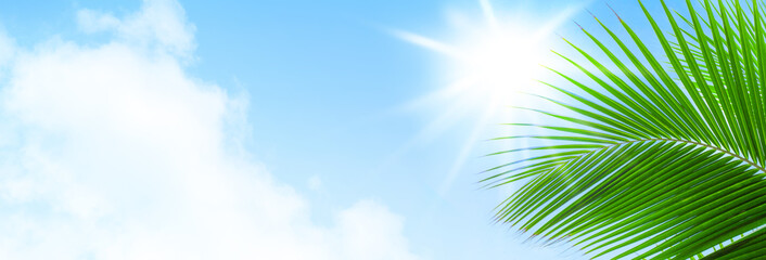 Palm tree leaf blue sky sun clouds background frame, green palm branch border, tropical island sea beach banner, summer holidays template, vacation design, travel pattern, tourism backdrop, copy space