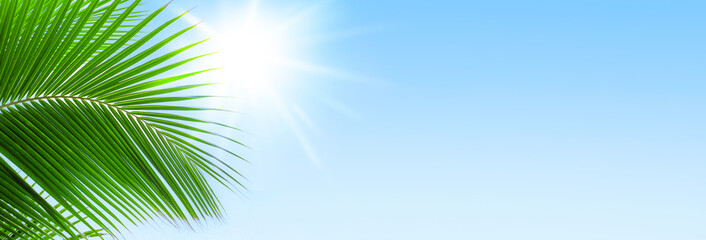 Fototapeta na wymiar Palm tree leaf blue sky sun background frame, green palm branch corner border, tropical island sea beach banner, summer holidays template, vacation design, travel pattern, tourism backdrop, copy space