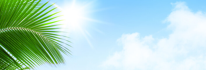Fototapeta na wymiar Palm tree leaf blue sky sun clouds background frame, green palm branch border, tropical island sea beach banner, summer holidays template, vacation design, travel pattern, tourism backdrop, copy space