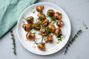 Roasted mushrooms with garlic and herbs in a white plate on a gray background. Top view.
